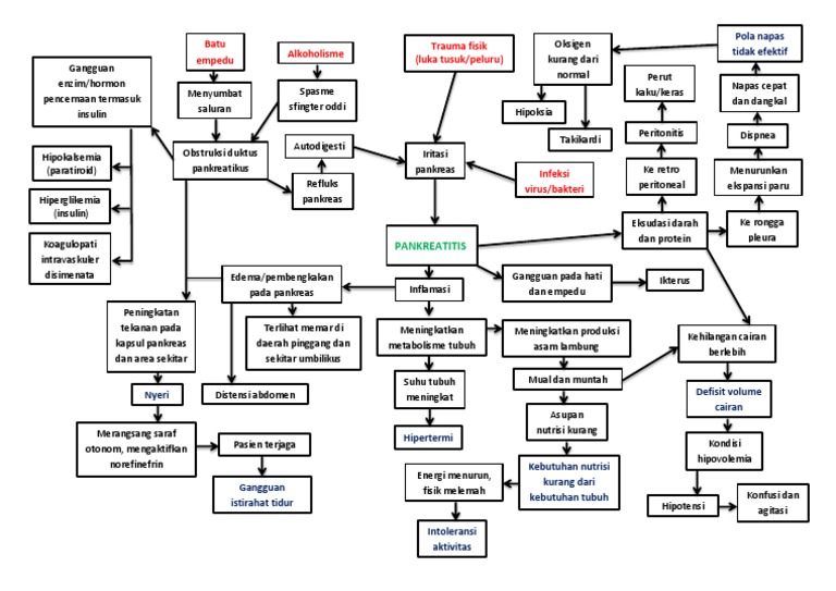 Pathway Pankreatitis