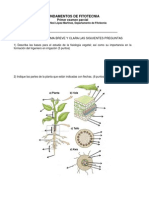 Examen-Fundamentos de Fitotecnia PDF