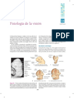 Fisiologia de La Visión PDF