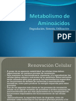 1-MetabolismodeAminoacidos.pdf