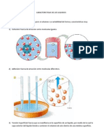 CARACTERISTICAS DE LOS LIQUIDOS.docx