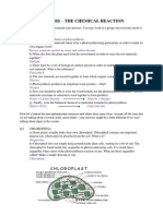Photosynthesis-Introduction-Worksheet.docx