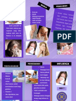 Leaflet Influenza PDF