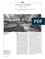 Tectona Grandis (TECA) PDF