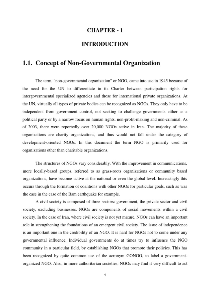 Non Governmental Organization PDF Capacity Building Non