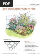 Bird Butterfly Garden Plan