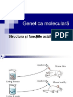 Genetica Moleculara