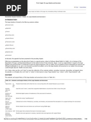 Microsoft Office Madary Updates Mac
