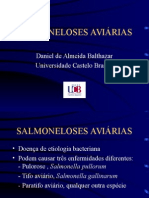 Salmonelose.ppt