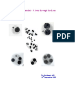 Human Micronucleus - A Look Through The Lens. 11th September 2009. Copy 15-12-09