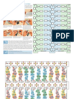 dna-model-2013.pdf
