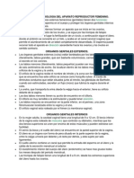 ANATOMIA Y FISIOLOGIA DEL APARATO REPRODUCTOR FEMENINO.docx