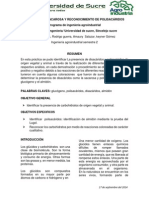 saul.pdf