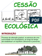 Sucessao Ecologica