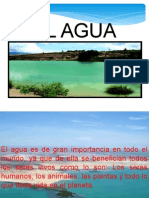 Importancia Del Agua Victor Edwin Damiela y Neried PDF