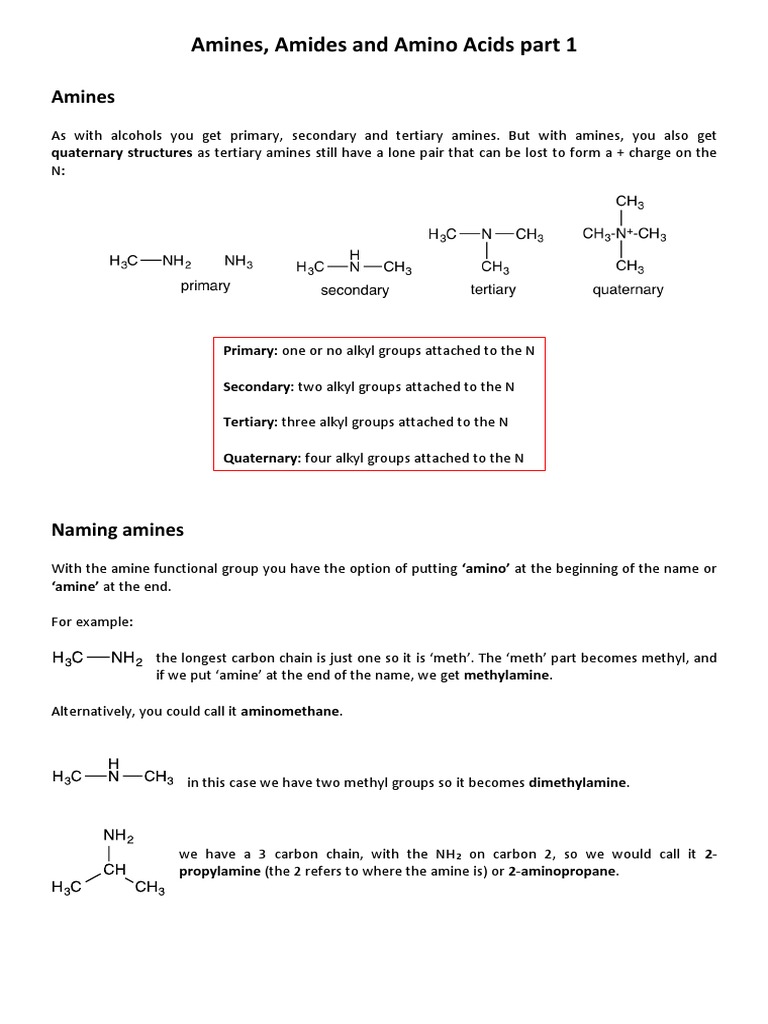 Amines, Amides and Amino Acids Part 1 Edexcel | PDF | Amine | Amide