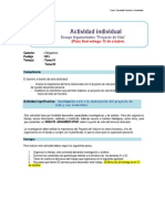 Guia de Trabajo Individual PDF