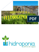 hidroponia expociencia.pptx