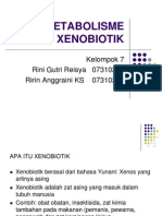 Metabolisme Xenobiotik