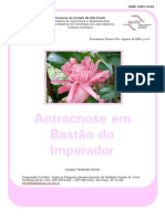 antracnose.pdf