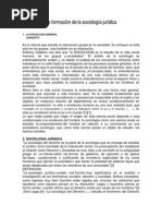 La formación de la sociología jurídica.docx