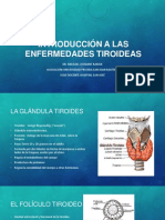 Clase 6 y 7 - INTRODUCCIÓN A LAS ENFERMEDADES TIROIDEAS - BOCIO ENDEMICO - HIPOTIROIDISMO