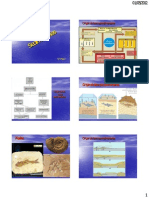 Cap 7 Rocas Sedimentarias-E PDF