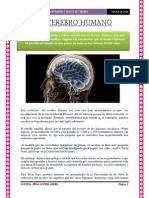 EL CEREBRO HUMANO.docx