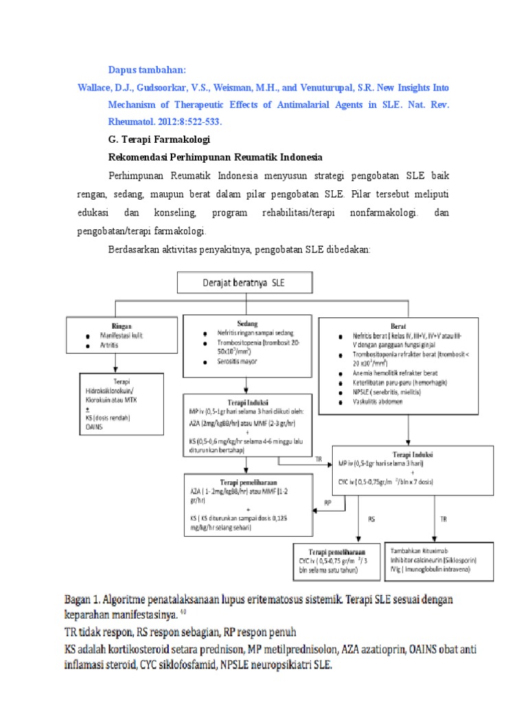Strategi Pengobatan SLE Terbaru | PDF