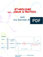 METABOLISME KH, LEMAK & PROTEIN.ppt