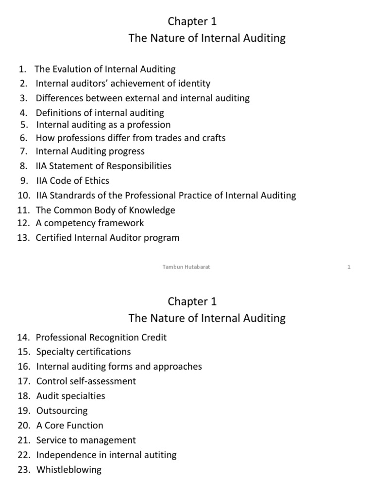 literature review on internal auditing pdf