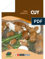 CUY.pdf