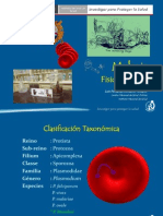 84529353-fisiopatologia-malaria.pdf