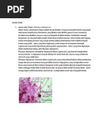 Download jamur by DidikDwiPrastyo SN242373202 doc pdf