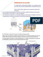 Membrana Célular PDF