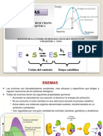 Enzimas PDF