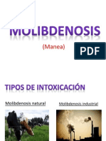 actinobacilosis.pptx