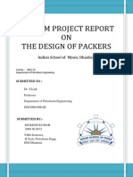 Interim Project Report