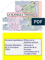 5 Tiroides.pdf