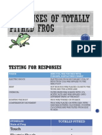 Responses of Totally Pithed Frog