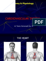 Anatomy and Physiology of The Heart (Rev)