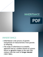 inheritance.pdf