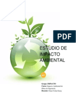 IMPACTO AMBIENTAL- GUABAZO.docx