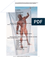 58381350-generalitati-anatomice-libre.pdf