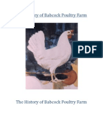 The History of Babcock Poultry Farm