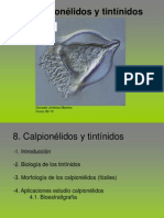 Calpionelidos y Tintinidos