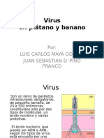 56300584-Virus-en-Platano-y-Banano.ppt