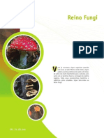 Ciencias 7 Ano PDF