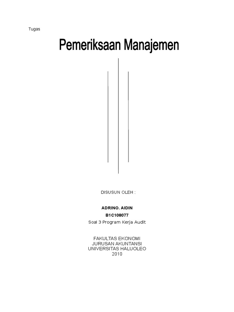 Rencana Program Kerja Audit 2010 | PDF