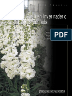 Cultivo Alhelí Flor Cortada PDF